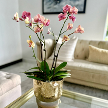 Load image into Gallery viewer, Gold palm planter, gold metal planter, embossed planter, gold pot, flower pot
