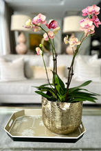 Load image into Gallery viewer, Amani Taupe Tray
