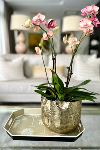 Amani Taupe Tray