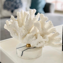 Load image into Gallery viewer, SEA CORAL
