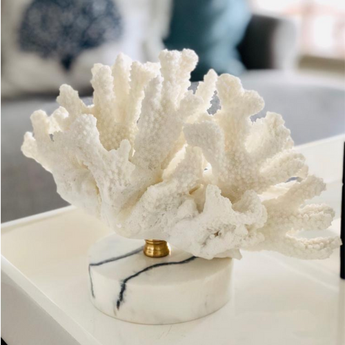 white coral on a marble stand, elegant and natural 